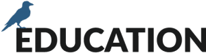 Stonehealth Education Logo